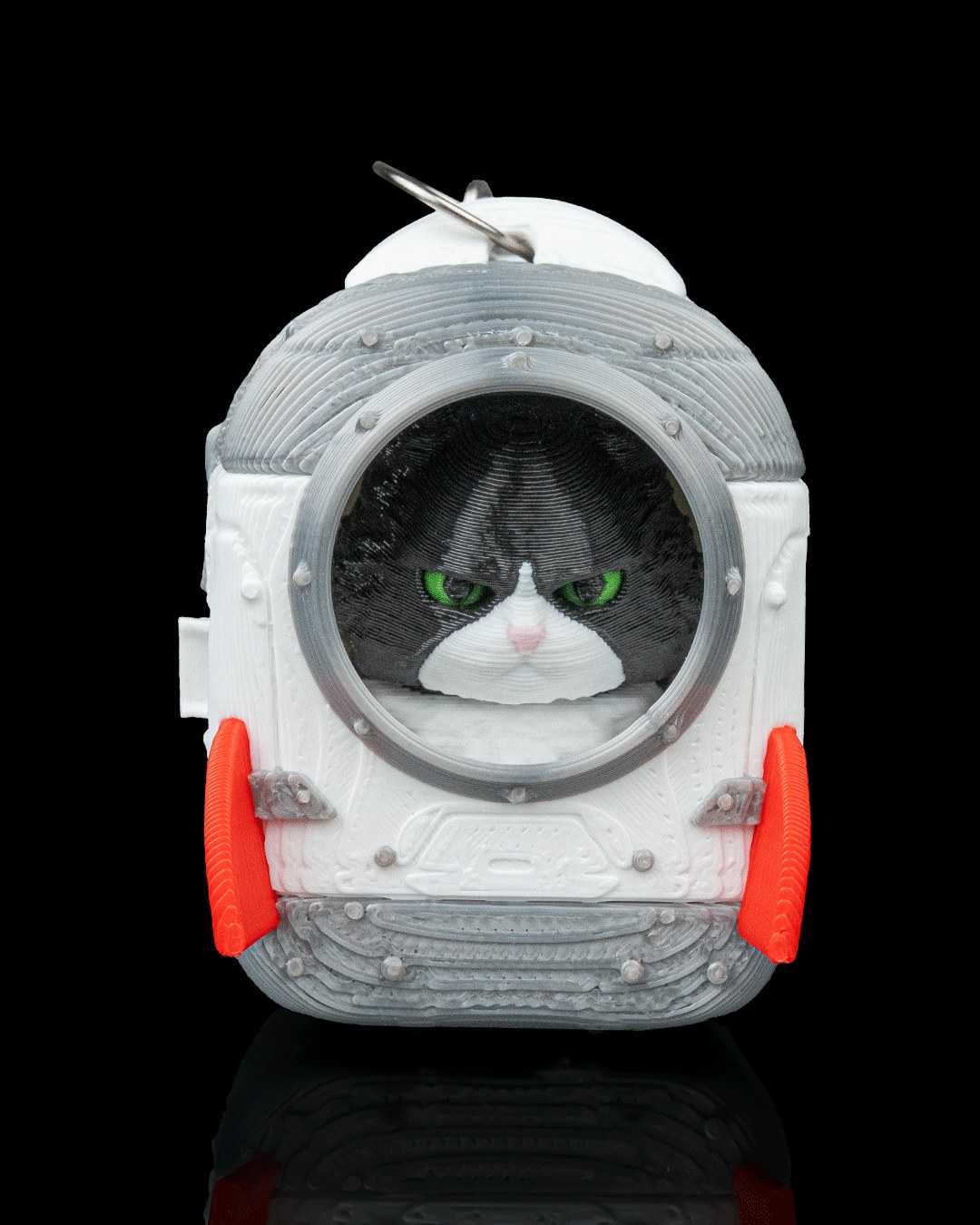 Launch Pack Maine Coon – 3D Druck Katzen Set